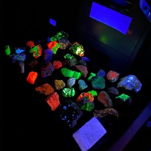 Meet your Posher, Cesar